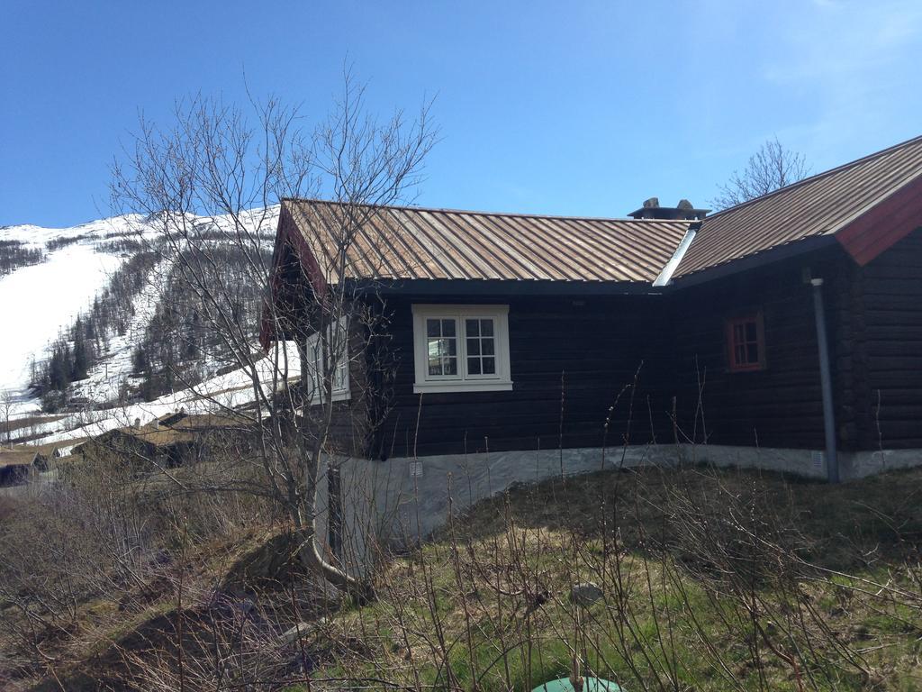 Vila Alpelia Hemsedal Exteriér fotografie